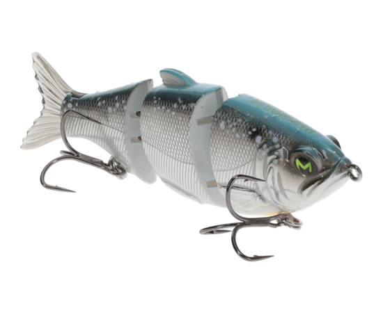Rapala Fishing Baits & Lures Plug Smallmouth Bass PNG, Clipart, Amp, Bait,  Baits, Bass, Bass Fish